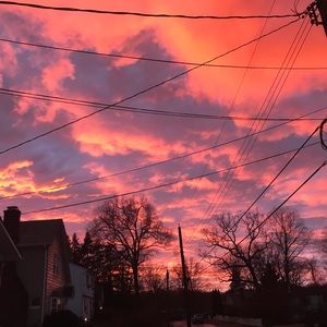 Meet your Posher, Bridget